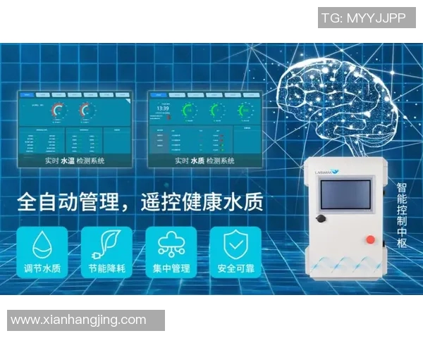 如何有效维护泳池水质与设备保证使用安全与清洁管理