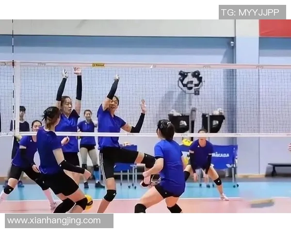 北京排球队的节奏体系与排球战术的完美结合探讨