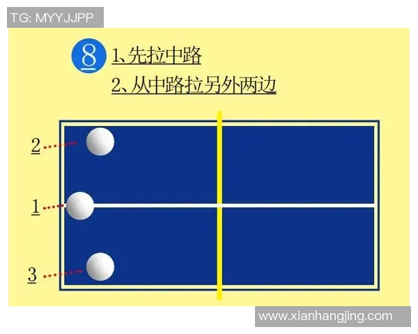 深圳乒乓球队的速度解析与战术应用探讨