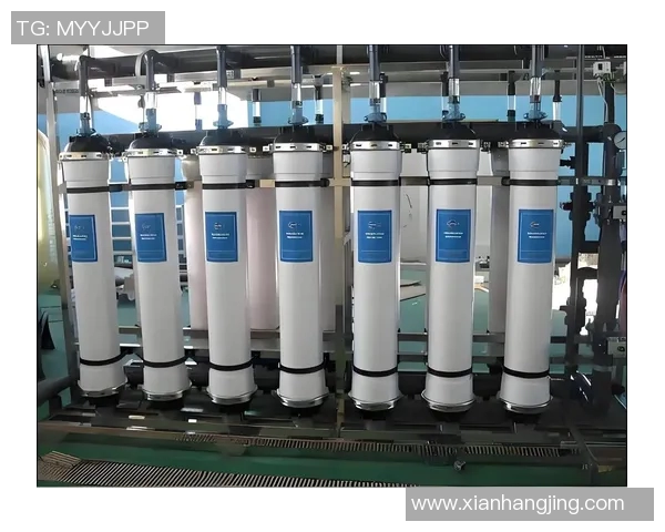 新型净水材料的研发与应用前景分析及其在水处理领域的创新突破