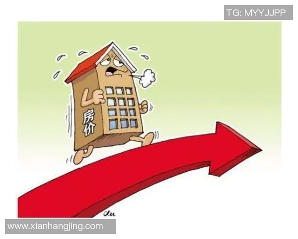 南京极限运动队包夹现象解析与热点探讨