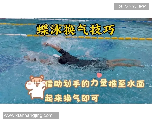 泳姿的种类与技巧解析：从自由泳到蝶泳的全面介绍与技巧要点