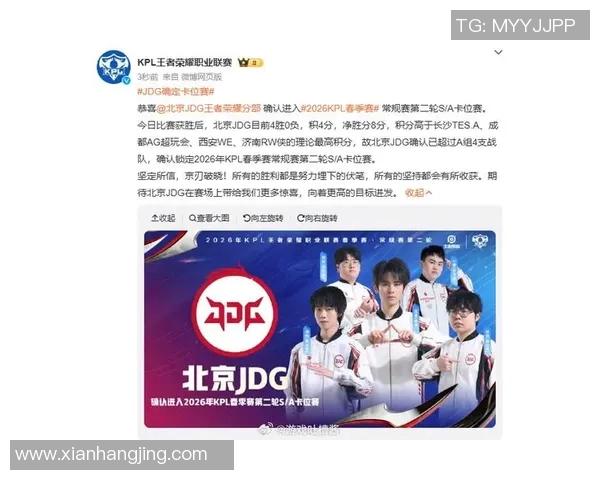 城市赛分析：JDG团队协作的卓越表现与战术执行力探讨