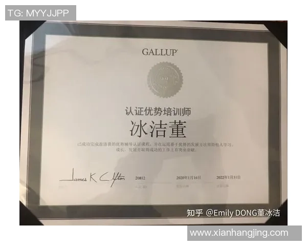 成都篮球队转型之路的真实记录与成长故事